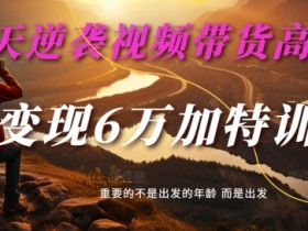30天逆袭视频带货高手，单月变现6万加特训营-麦子甜