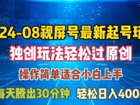 08月视频号最新起号玩法，独特方法过原创日入三位数轻轻松松【揭秘】