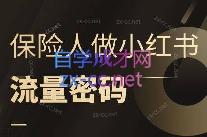 sunny老师·保险人做小红书的流量密码