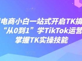 跨境电商小白一站式开启TK搞钱，教你“从0到1”学TikTok运营轻松掌握TK实操技能