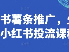 小红书薯条推广，少有的小红书投流课程