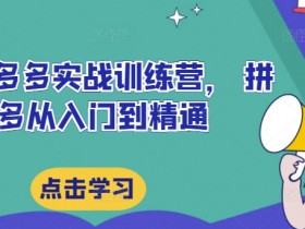 最新拼多多实战训练营， 拼多多从入门到精通