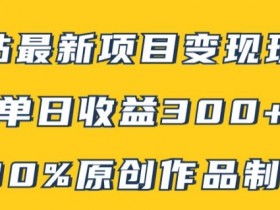 B站最新变现项目玩法，100%原创作品轻松制作，矩阵操作单日收益300+