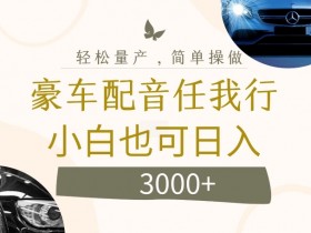 不为人知的暴力小项目，豪车配音，日入几张【揭秘】