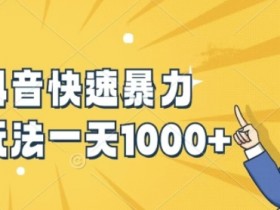 快手抖音快速暴力涨粉玩法，新手小白也能学会，一天1k+【揭秘】