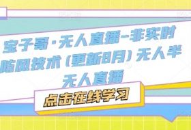 宝子哥·无人直播-非实时防风技术(更新11月)无人半无人直播