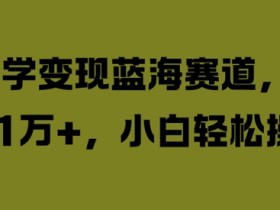 国学变现蓝海赛道，月入1W+，小白轻松操作【揭秘】