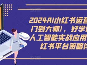 2024AI小红书运营(从入门到大师)，好学好用的人工智能实战应用课，小红书平台策略详解