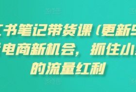 小红书笔记带货课(更新25年9月)流量电商新机会，抓住小红书的流量红利