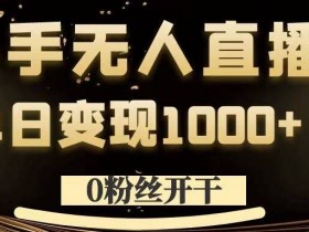 0粉丝开干，快手无人直播，单日变现1k+【揭秘】