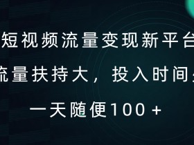 短视频流量变现新平台，流量扶持大，投入时间少，AI一件创作爆款视频，每天领个低保【揭秘】