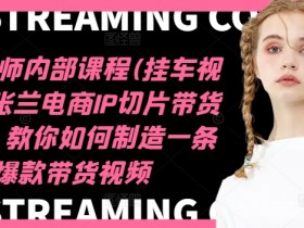 IP剪辑师内部课程(挂车视频)（更新11月），张兰电商IP切片带货培训，教你如何制造一条爆款带货视频