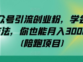 公众号引流创业粉，学会这个方法，你也能月入30000+ (陪跑项目)