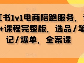 小红书1v1电商陪跑服务，资料+课程完整版，选品/笔记/爆单，全案课