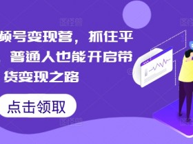 微信视频号变现营，抓住平台优势，普通人也能开启带货变现之路