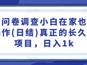 国内问卷调查小白在家也可批量操作(日结)真正的长久稳定项目，日入1k【揭秘】