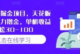 快手最新掘金项目，天花板玩法，暴力撸金，单机收益轻松30-100