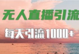 抖音快手视频号全平台通用，无人直播引流法，超暴力引流1000+高质量精准创业粉【揭秘】