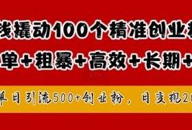 1块钱撬动100个精准创业粉，简单粗暴高效长期精准，单人单日引流500+创业粉，日变现2k【揭秘】