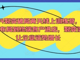 2024裂变破局两天线上训练营，从品牌布局到终端客户进店，裂变流量让企业逆势增长