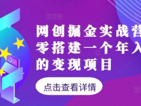 网创掘金实战营，从零搭建一个年入百万的变现项目（持续更新）
