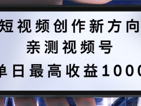 短视频创作新方向，历史人物自述，可多平台分发 ，亲测视频号单日最高收益1k【揭秘】