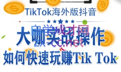 泰东老师·TikTok全域运营课