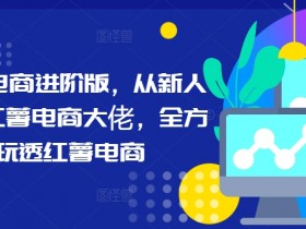小红书电商进阶版，从新人进阶小红薯电商大佬，全方位玩透红薯电商