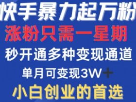 快手暴力起万粉，涨粉只需一星期，多种变现模式，直接秒开万合，单月变现过W【揭秘】