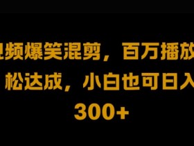 视频号零门槛，爆火视频搬运后二次剪辑，轻松达成日入1k【揭秘】