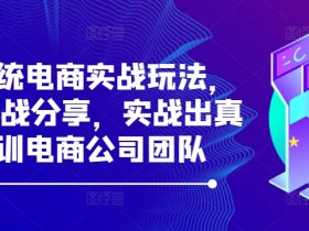 最新系统电商实战玩法，31天实战分享，实战出真知，培训电商公司团队