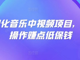 可视化音乐中视频项目，无脑操作赚点低保钱