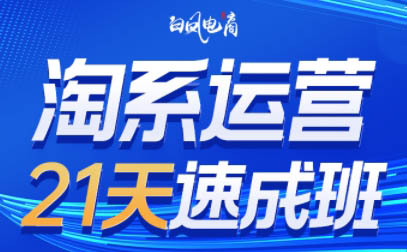 白凤电商·淘系运营21天速成班（更新12月）