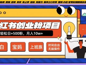 小红书创业粉项目日+500粉，每天20分钟躺赚长尾收益，无脑操作，宝妈，小白抓紧冲【揭秘】