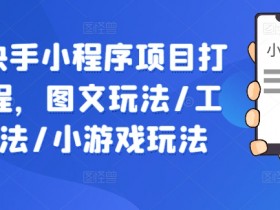抖音快手小程序项目打造课程，图文玩法/工具玩法/小游戏玩法