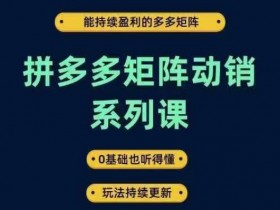 拼多多矩阵动销系列课，能持续盈利的多多矩阵，0基础也听得懂，玩法持续更新