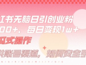 小红书无脑每日引流创业粉500+，小白每天只花半小时，躺赚长尾收益【揭秘】