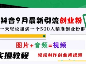 抖音9月最新引流创业粉，轻松制作创业类视频，一天轻松加满一个500人精准创业粉群【揭秘】