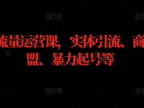 实体流量运营课，实体引流、商家加盟、暴力起号等