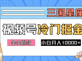 2024视频号三国冷门赛道掘金，条条视频爆款，操作简单轻松上手，新手小白也能月入1w