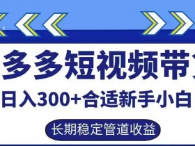 拼多多短视频带货日入300+有长期稳定被动收益，合适新手小白【揭秘】
