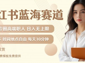 小红书蓝海赛道，圈中高端职场人，月入无上限，可矩阵，内含私域实操教程!