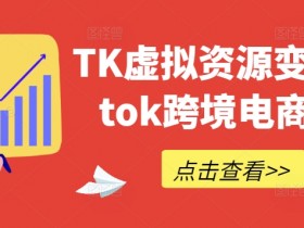 TK虚拟资源变现-tiktok跨境电商教程