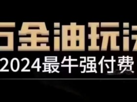 2024最牛强付费，万金油强付费玩法，干货满满，全程实操起飞（更新12月）