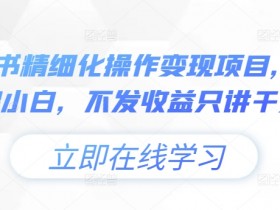 小绿书精细化操作变现项目，0基础小白，不发收益只讲干货
