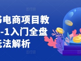 小红书电商项目教程，0-1入门全盘玩法解析