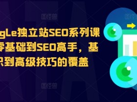 谷歌google独立站SEO系列课程，从零基础到SEO高手，基础知识到高级技巧的覆盖