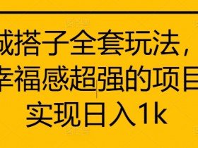 同城搭子全套玩法，一个幸福感超强的项目，实现日入1k【揭秘】
