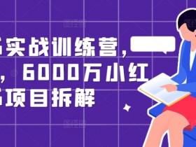小红书实战训练营，从0到1，6000万小红书项目拆解