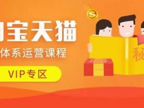 淘宝天猫全体系运营课程【9月24更新】，店铺全系运营、动销玩法、擦边球玩法等等